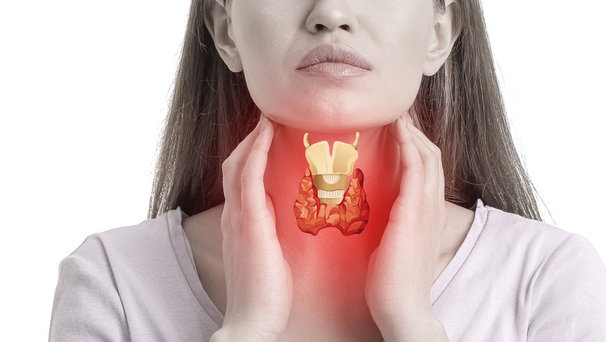 thyroid-and-adrenal-function thyroid-and-adrenal-function